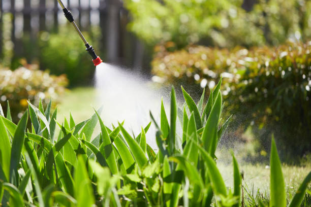 24/7 Emergency Pest Control experts in Milton, LA