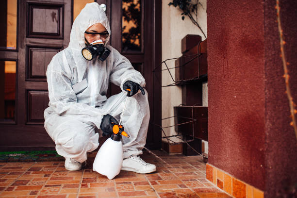 Reliable Pest Control contractor in Milton, LA by Nex Pest Control